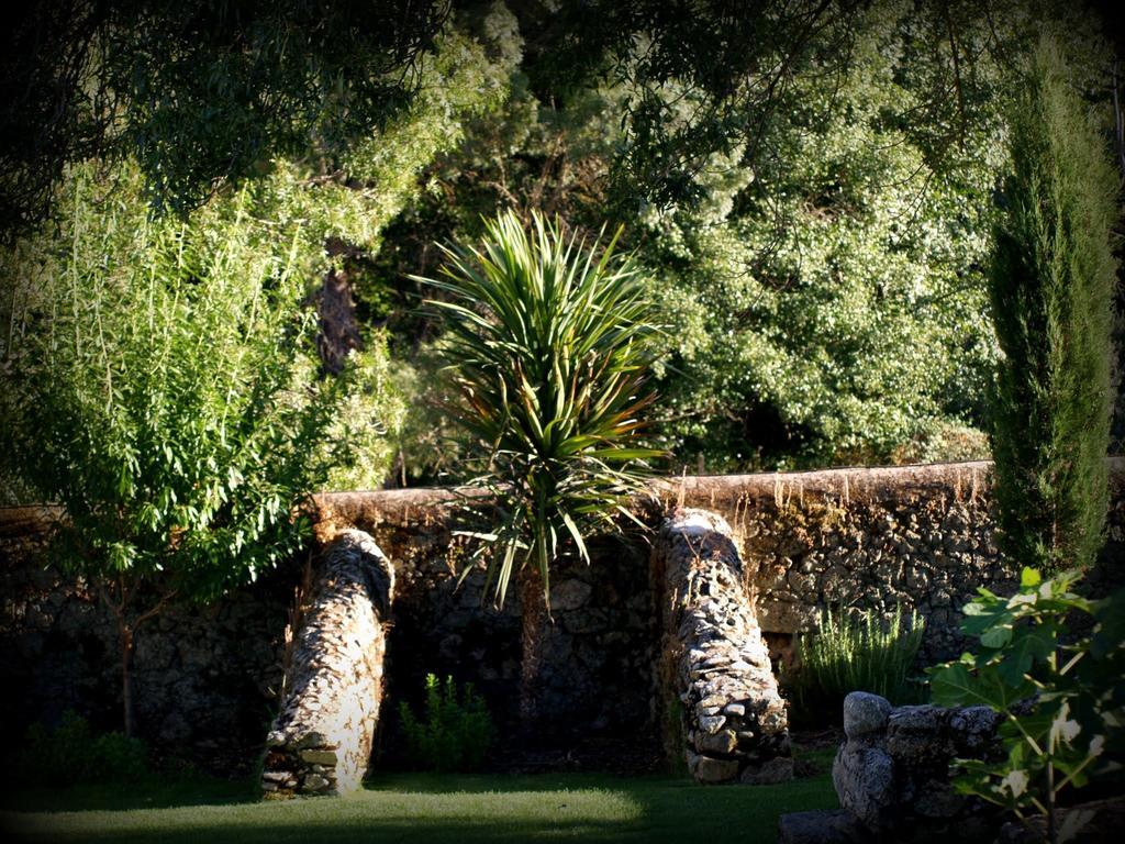 Almazara De San Pedro (Adults Only) ξενώνας Eljas Εξωτερικό φωτογραφία