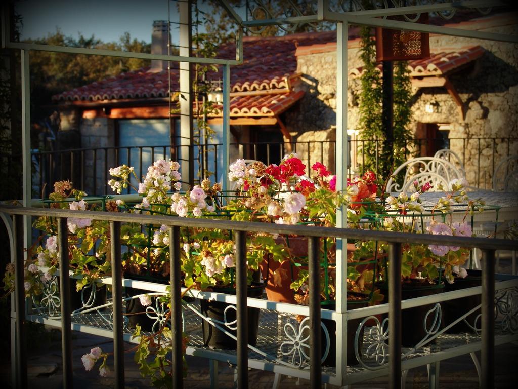 Almazara De San Pedro (Adults Only) ξενώνας Eljas Εξωτερικό φωτογραφία