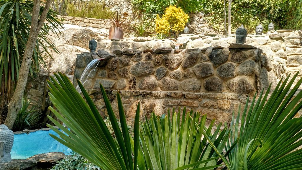 Almazara De San Pedro (Adults Only) ξενώνας Eljas Εξωτερικό φωτογραφία
